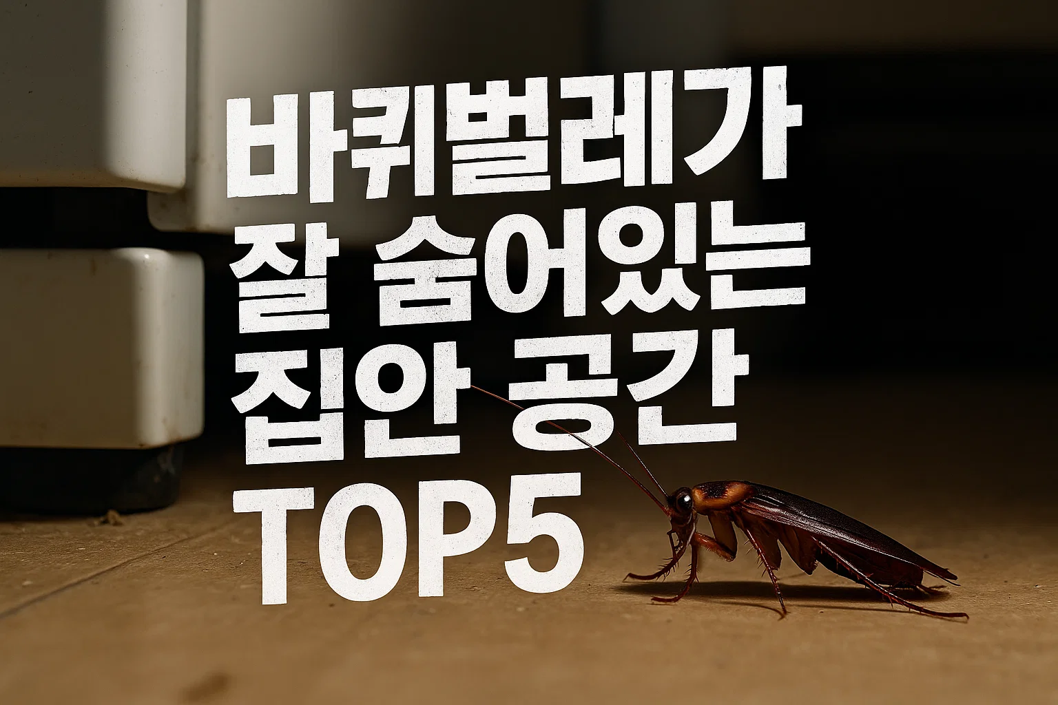 바퀴벌레가 잘 숨어있는 집안 공간 TOP5