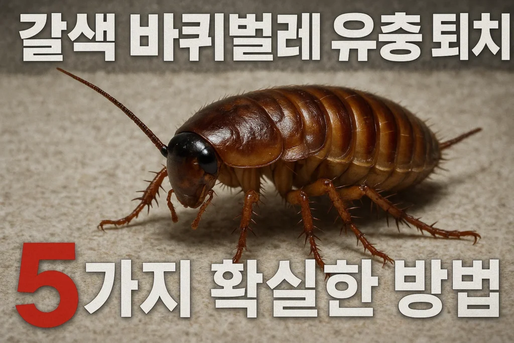 갈색 바퀴벌레 유충 퇴치 5가지 확실한 방법