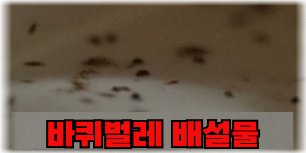 바퀴벌레 배설물